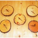 남원산림조합 이미지