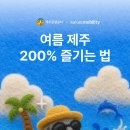 제주처럼 노컷뉴스