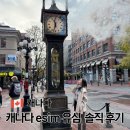 3G렌트카 | 캐나다 esim 추천 유심사 이심 무제한 실제 사용 솔직 후기