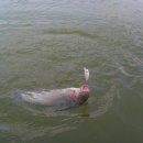 샘골낚시터 이미지