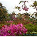 아침농장 이미지