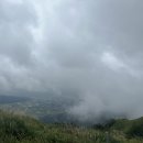 밀키웨이목장 이미지