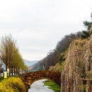 영산 연지못 이미지