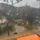 더(the)반찬의정석 이미지