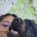 성은병원 | &lt;성은이 망극할 때&gt; 19화: 망극통신이상감지모드📳