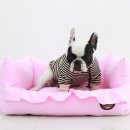 엣지퍼피 이미지