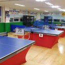 탁구(중급) 이미지