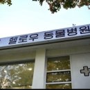 헬로우동물병원 - 달서구 선원로 262 | 헬로우동물병원