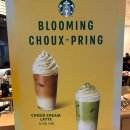 스타벅스 동대문디자인플라자점 이미지