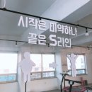 비비핏