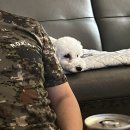 일상과 함께 본 영화