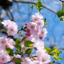 굿모닝PC 이미지