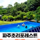 초리포레스트 이미지
