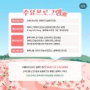 단양읍 별곡리 644(나루공연장) | 단양소백산철쭉제 방문 후기 야시장 먹거리 및 가수정보