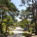 산죽한옥마을 이미지