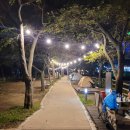 변산면사무소 | 서해 노을뷰가 보이는 모항갯벌해수욕장 캠핑장 정보