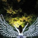 별빛백도 이미지