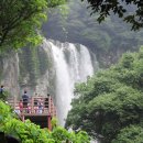 강정동-77 이미지