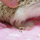 남현우동물병원 이미지