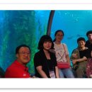 (사)대전장애인인권포럼 이미지