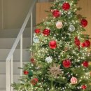 엠앤씨바이오 이미지