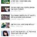 에이스스포츠 - 안양시 동안구 시민대로109번길 29 | 에이스스포츠