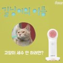 뉴바이럴