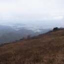 장원초등학교 이미지