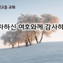 12월30일(월) 인자하신 여호와께 감사하라! 이미지