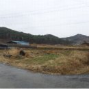 남사양어장 네이버블로그