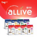 대주 이미지