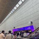프리즈 서울 아트페어 FRIEZE SEOUL 2024 눈호강 (w/그릿씨님의 도슨트)