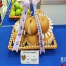 기찬영암식품
