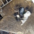 코리아 설비 공사 이미지