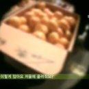 국립농수산물품질관리원(농림부) 이미지