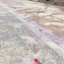 광영큰골길 이미지