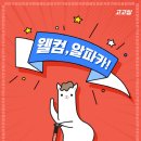 알파카서비스