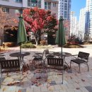 어반시티공인중개사사무소 이미지