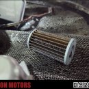 라이온모터스 이미지