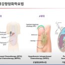 진행성 및 재발성 난소암 최신 치료 전략 이미지