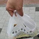 충무봉투