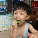 민준농장 이미지