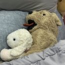 파티스리프부아 주식회사 | 다 놀았니? 이제 할일을 하자