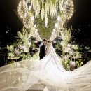 비엔티 카카오 검색결과