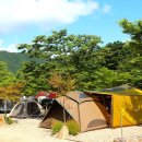 반딧골캠핑장 이미지