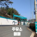 진영주유소 이미지