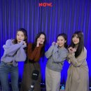 마이아지트 이미지