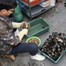 대포전복양푼물회 이미지