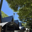 별을 담은 숲 이미지