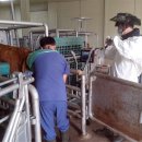 정종순농장 이미지